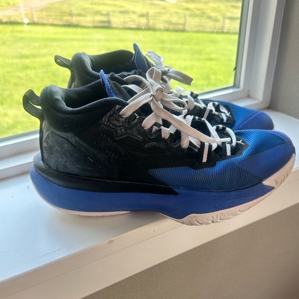 Jordan Basketball shoes, worn only indoors one season.